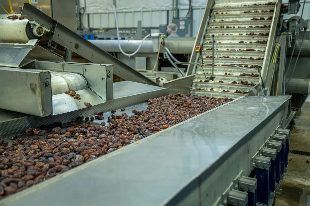 duralink food grade spesifikasi fda food grade conveyor belt