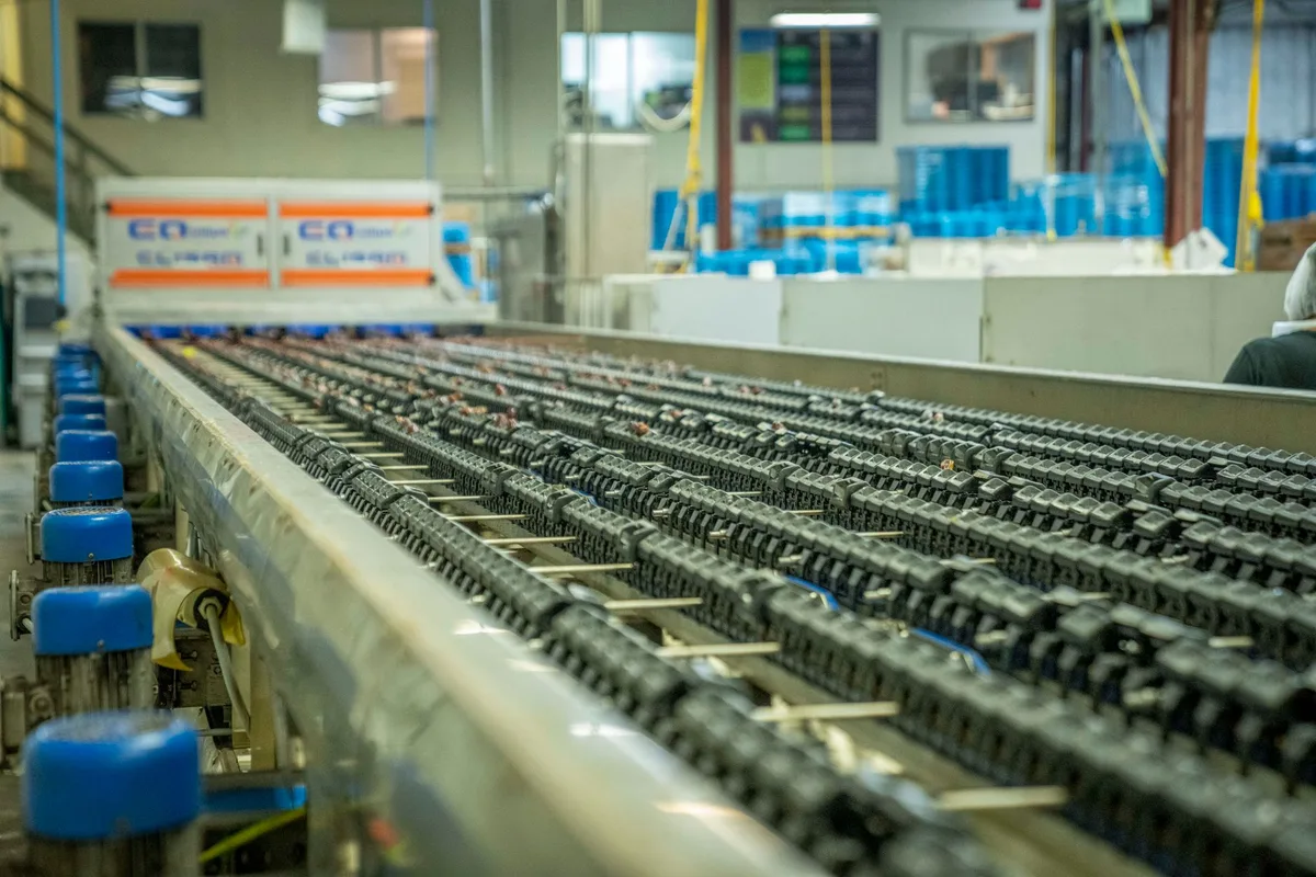 teknologi industri industrial conveyor belt system factory